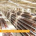 Kenya Chicken Farm Hot Sale A Type Layer Poultry Battery Cages